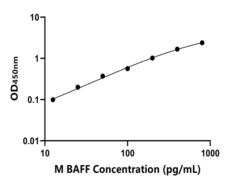 小鼠(BAFF)ELISA試劑盒 小鼠(BAFF)ELISA試劑盒